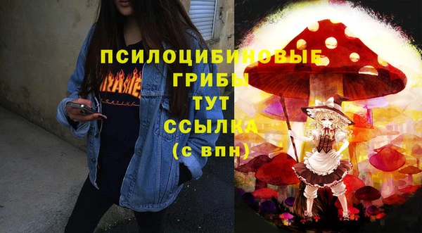 мяу мяу мука Аркадак